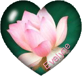 une fleure
